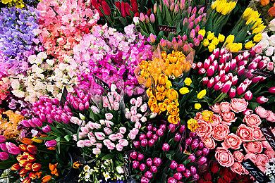 国产指向点击解谜游戏 《栖云异梦》上线Steam