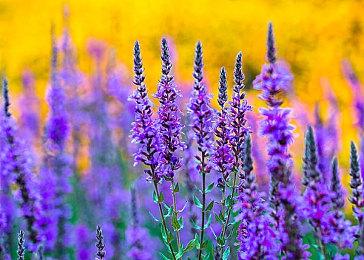 暗示《最终幻想4重制》？SE发布神秘动态吊足粉丝胃口